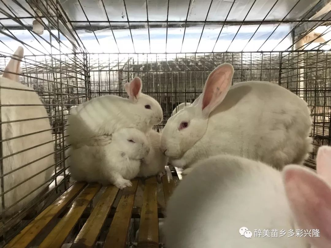 实验行业冷库 第344页