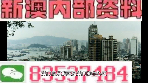 香港澳门资料大全+正版资料2023年龙门客栈,可靠执行操作方式_RNX49.722闪电版