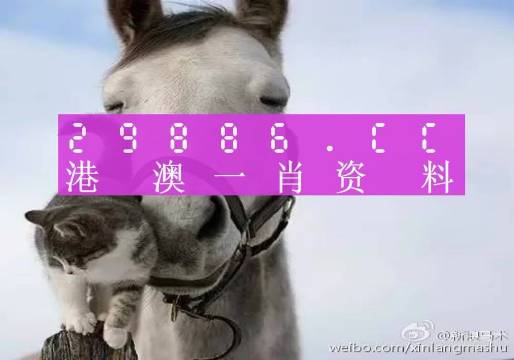 今晚必中一肖一码四不像,数据驱动方案_IZN49.235限量版