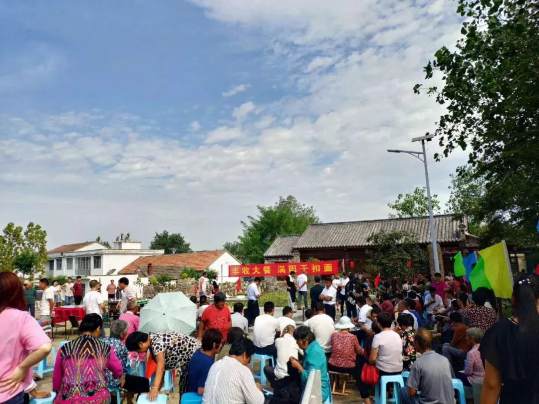 涡阳最新任免人员动态概览，人员变动及指南