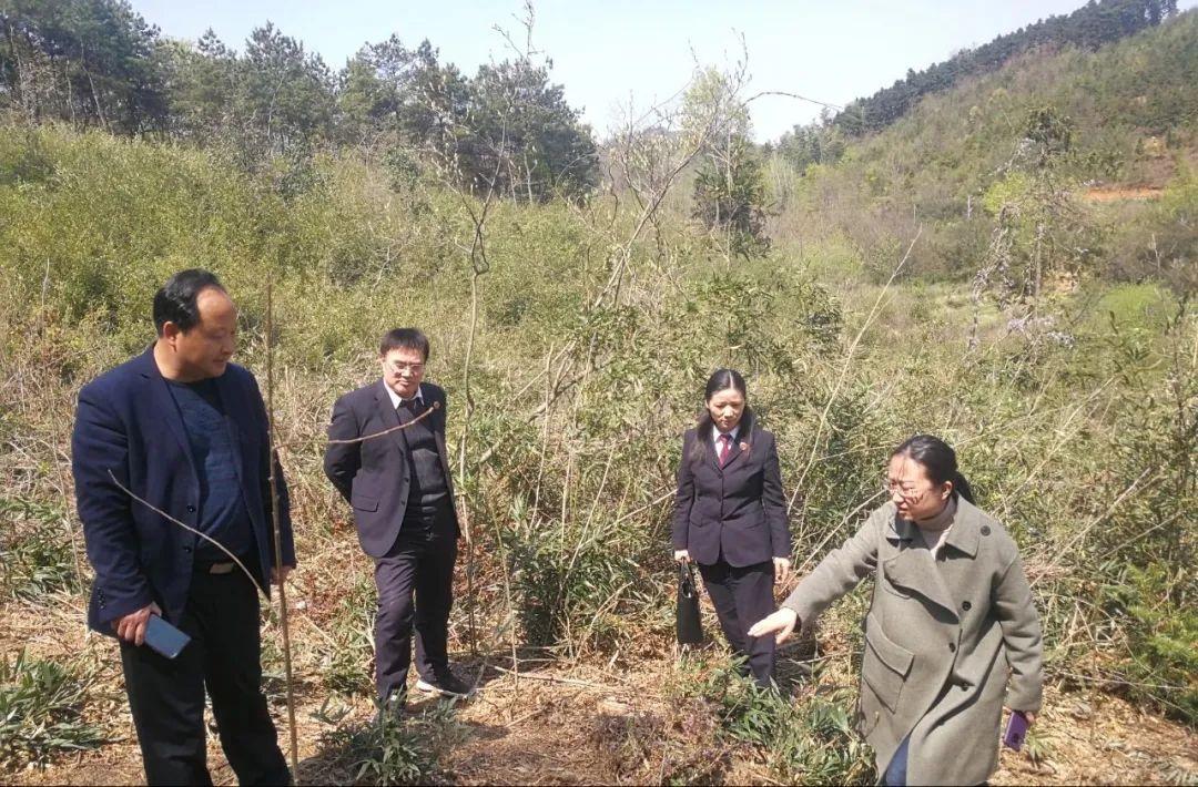 庐江最新土地补偿标准详解及指南