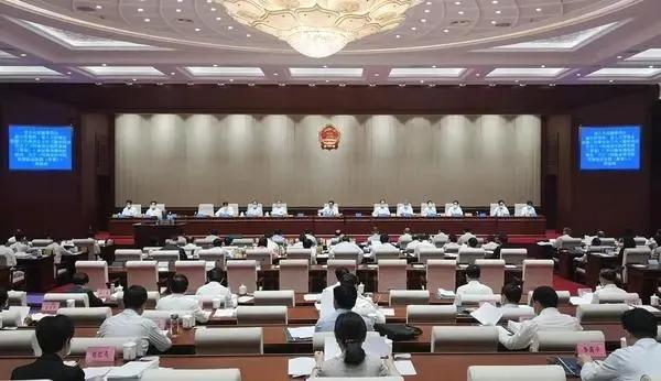 确有专长最新动态，深度分析与观点阐述