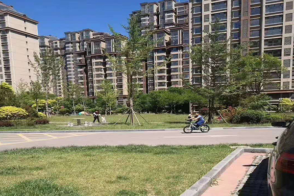 大厂华安丽景最新房价及其分析概述