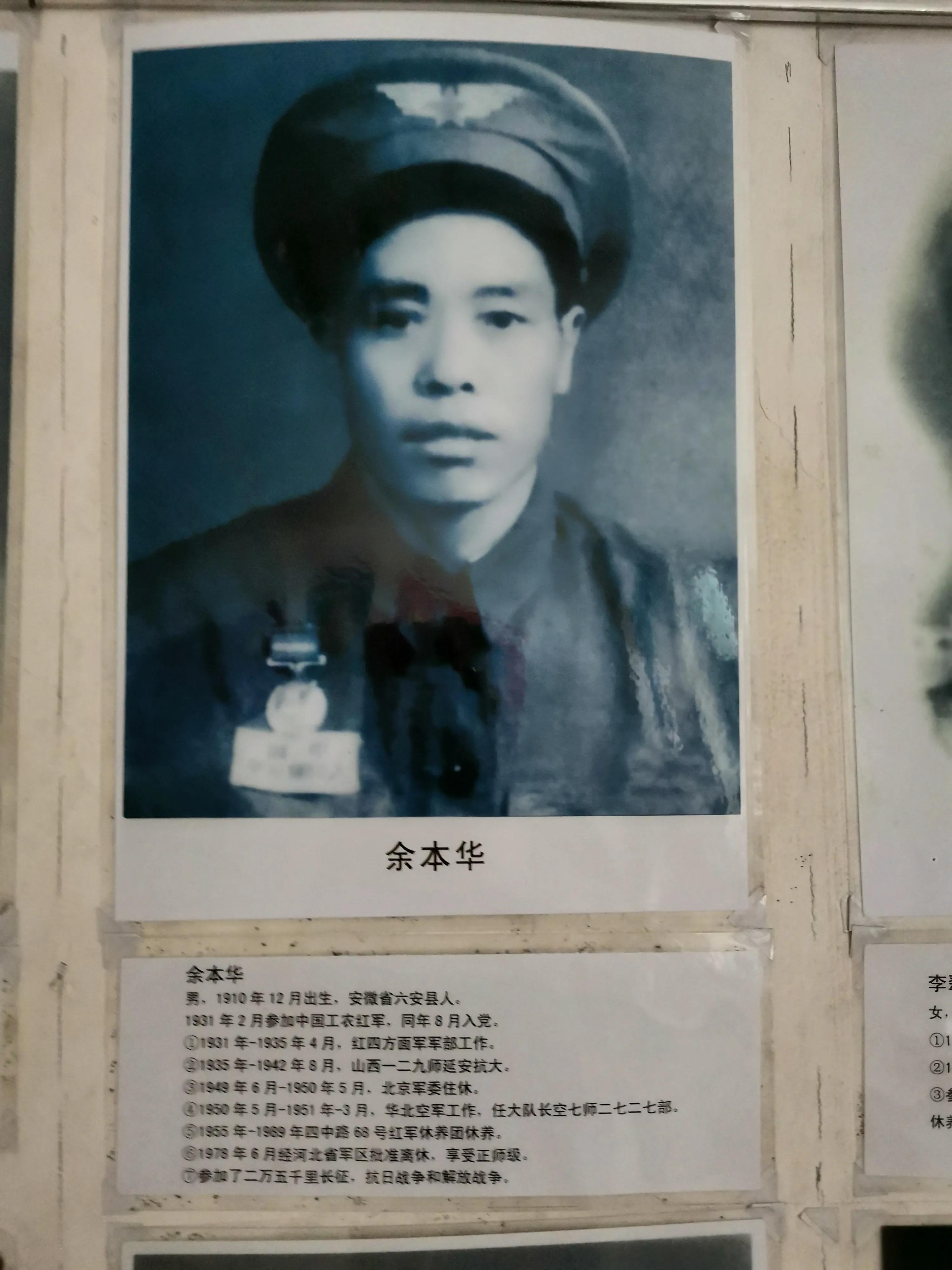 石家庄新大院最新动态，深度解析与观点论述