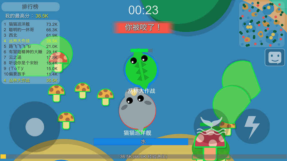 丛林大作战最新版，友情冒险之旅的丛林探险挑战