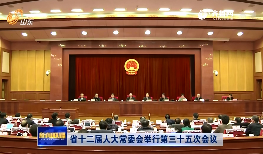山东省人大最新任免，多维度下的审视与观点碰撞分析