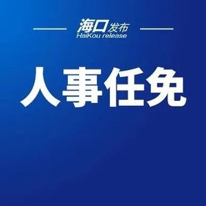 海口市最新人事任免动态概览，人事调整及任免情况解析