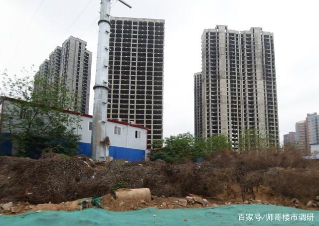 郑州唯棠最新动态，自然美景探索之旅，启程内心的平和之旅