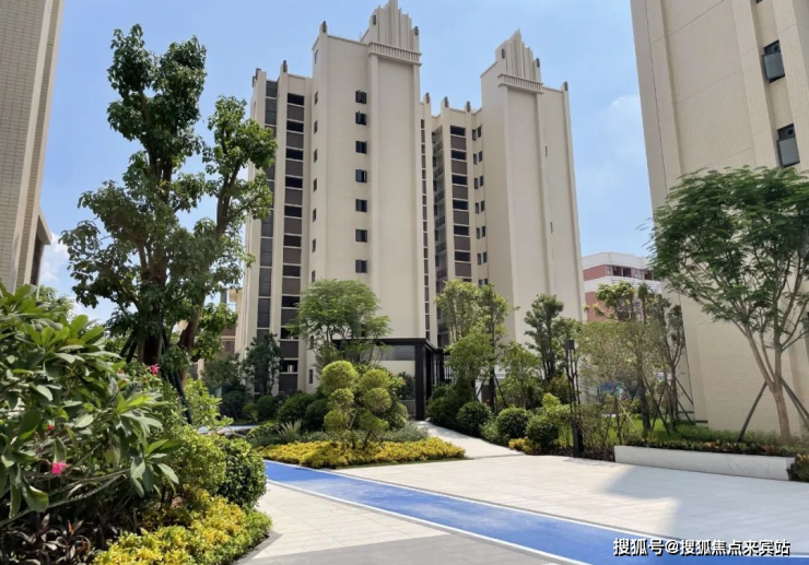 天物郁江溪岸最新价格动态，学习变化，自信成就梦想之路