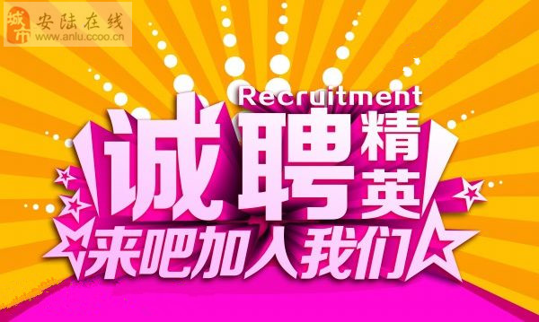 安陆最新招聘信息，小巷深处的职业机遇