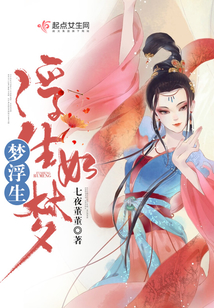 官梯最新章节深度解析，权力之路与个人立场探讨