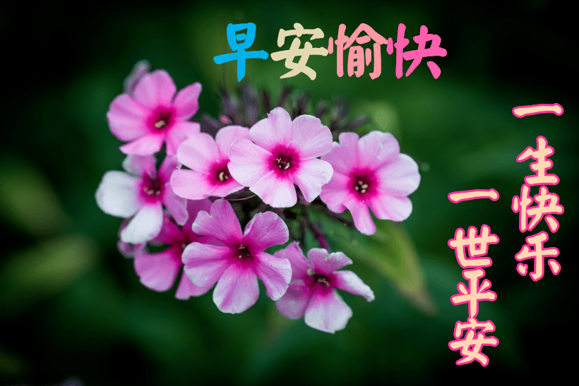 最新早上好图案，开启美好一天的灵感开端