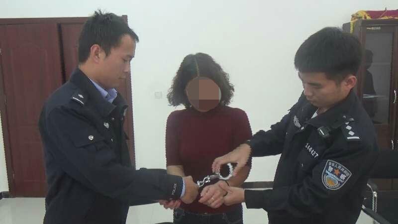 最新个人财产申报模板详解，探讨与应用，某某观点阐述