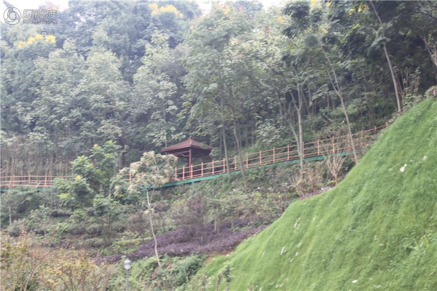 第1472页