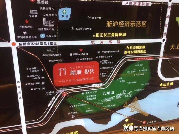 2024新澳门6合彩官方网,统计信息解析说明_内置版79.358