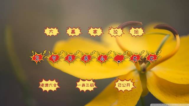 澳门4949开奖结果最快,精准数据评估_风尚版87.120