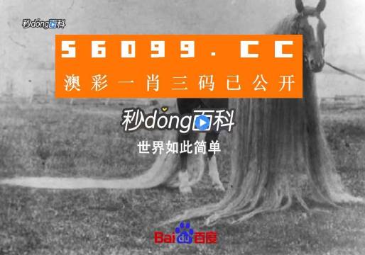 澳门必中一一肖一码服务内容,时尚法则实现_理财版84.775
