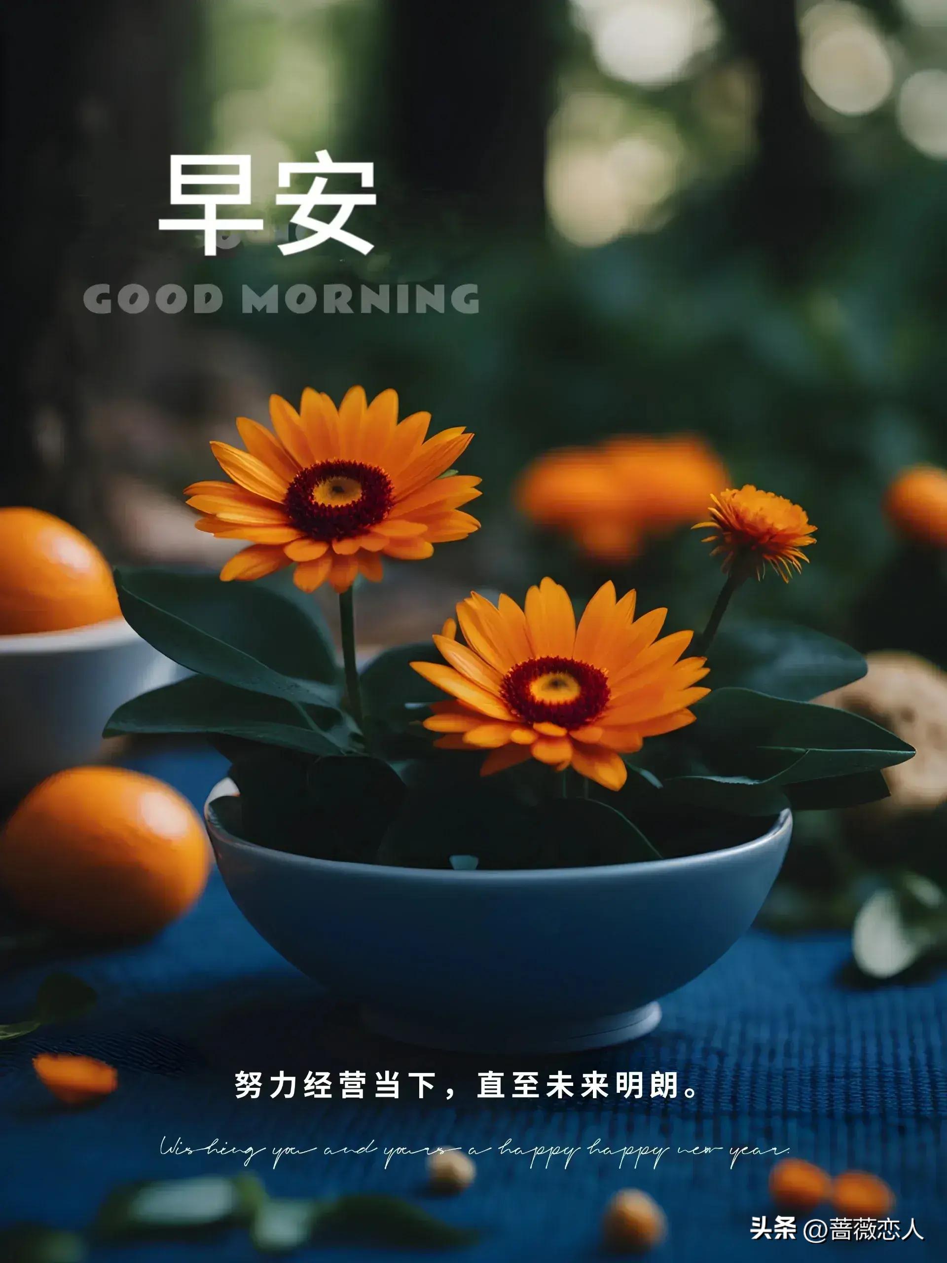 新闻中心 第196页