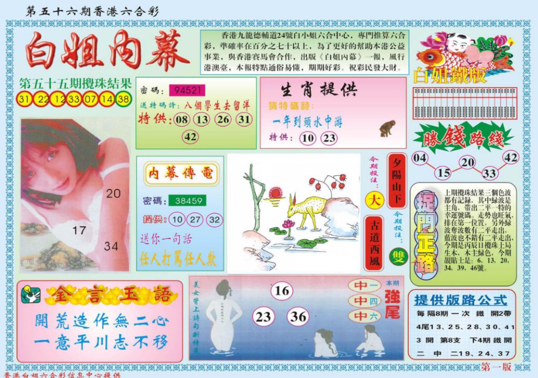 香港特马资料王中王,行动规划执行_设计师版67.666