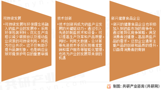 2024年资料大全免费,时代变革评估_速达版52.155
