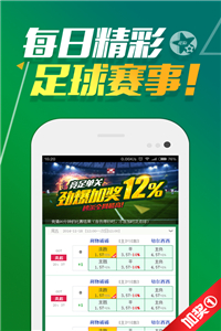 2024澳门天天开好彩大全46期,实地观察解释定义_商务版33.249
