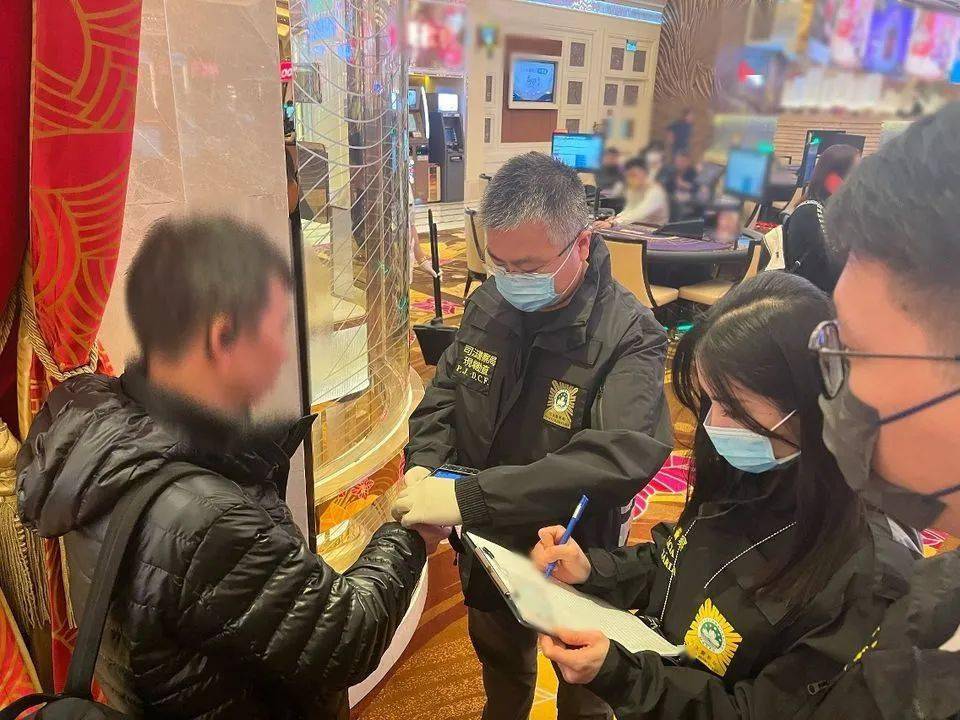 2024年澳门天天开好彩,社会承担实践战略_美学版93.287