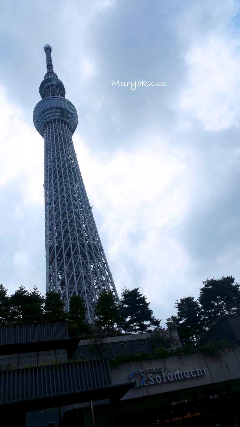 东京最新坐标，日常趣事与友情的温馨之旅探索之旅