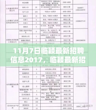 魏县最新职位招聘信息，开启新生活，点亮未来之路