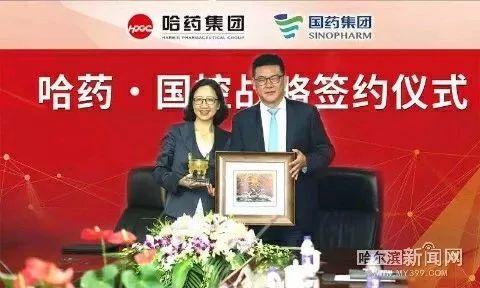 国药股份股票股吧详解，初学者与进阶用户的入门指南