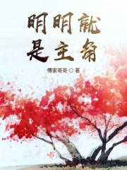 最新章节揭秘，慕浅霍靳西的情感与命运纠葛