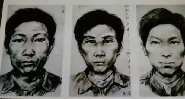 最新南医案深度剖析与观点阐述