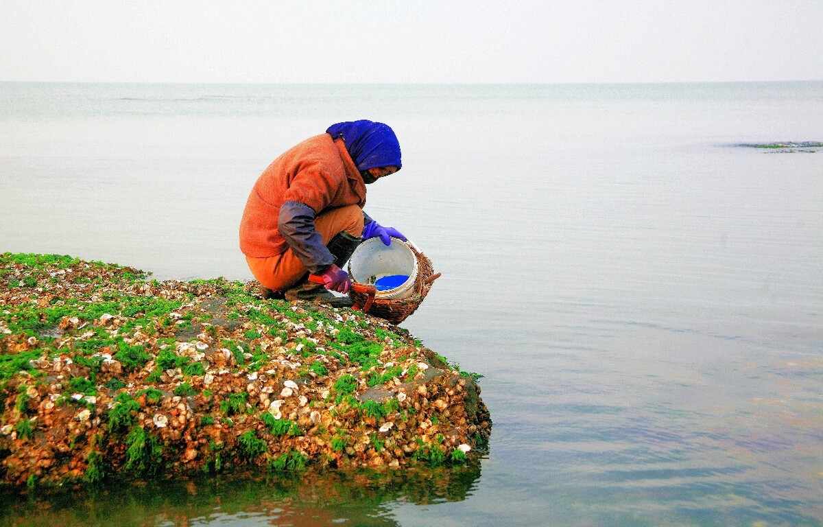 最新赶海人，破浪前行的励志之旅