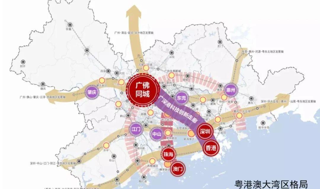 科技之巅，领略未来高科技产品的魅力最新要纲解读