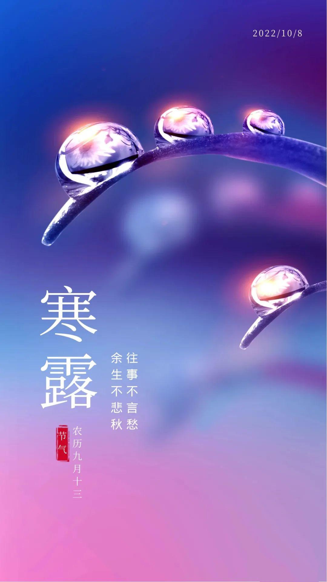 语言之美，探索赏析最新优美句子