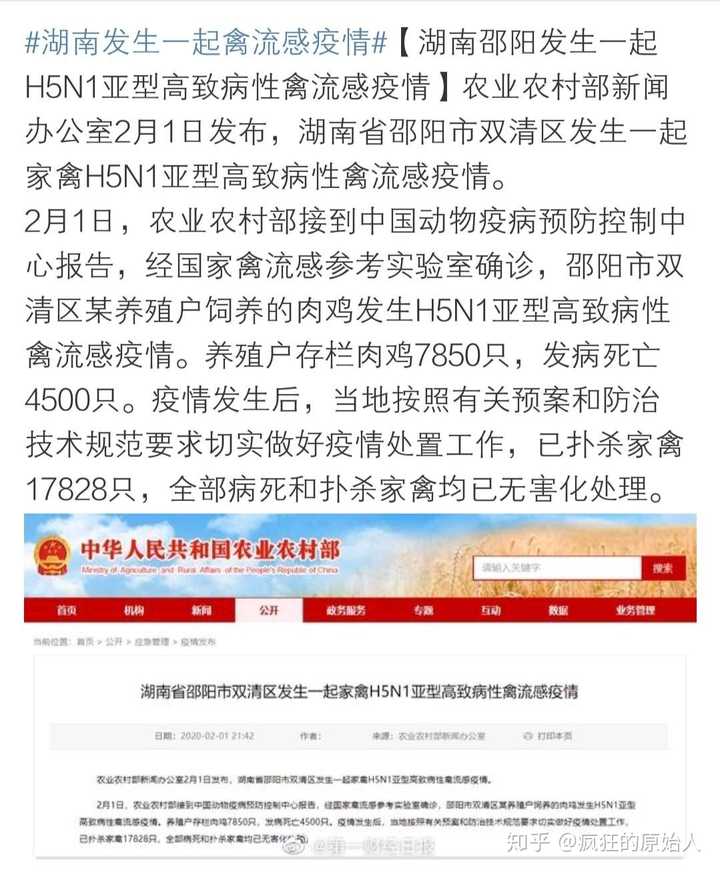 湖南最新禽类养殖探索，开启禽类养殖新天地